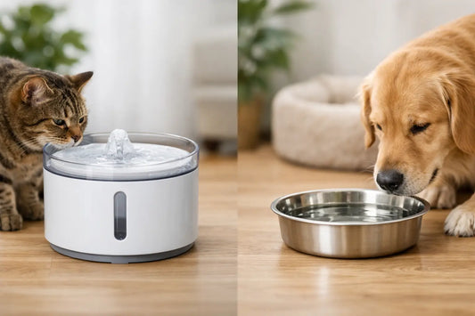 寵物飲水器 vs 水碗: Which One Fits Your Pet?